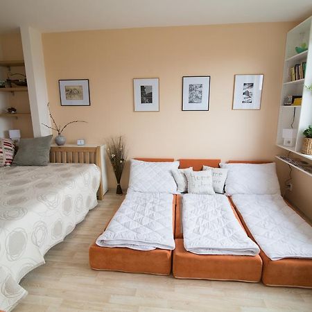 Apartman Labe Ústí nad Labem Exterior foto