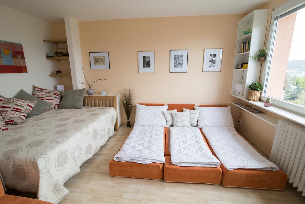 Apartman Labe Ústí nad Labem Exterior foto